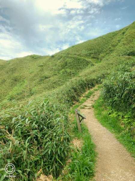 聖母山莊抹茶山695469