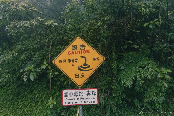 [新北]二格山2730209