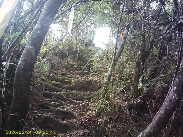兒玉(自忠)山、東水山、東水山西峰及特富野古道O繞。3061788