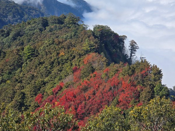 鳶嘴稍來山之楓紅／雲海2974054
