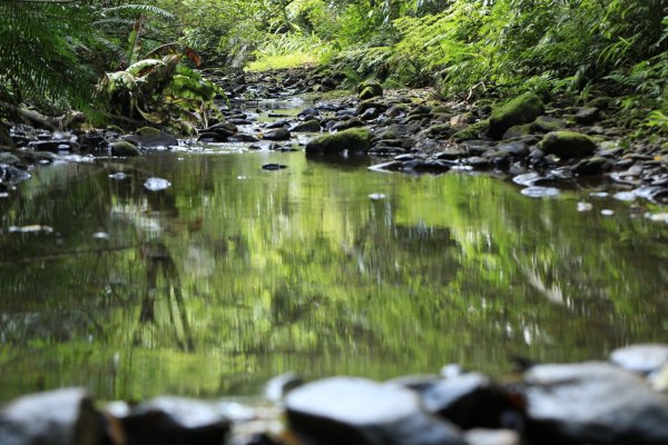 柴寮古道、三貂嶺瀑布群1003884