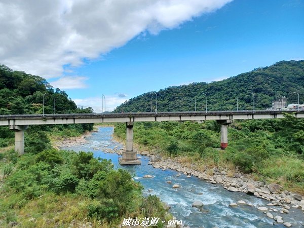 【新竹橫山】蓊鬱綠意。 南坪古道1882369