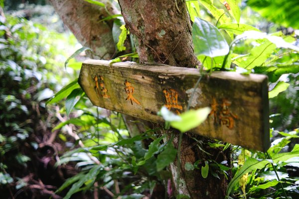 打鐵寮古道.白石山2752901