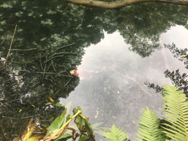 四十二份湧泉2723149