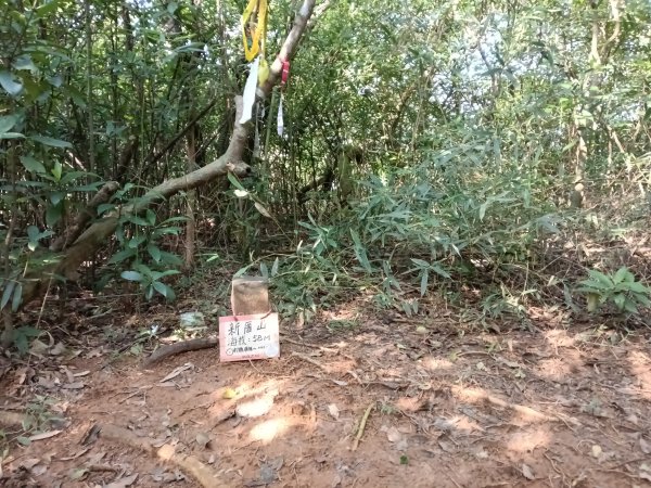 貢寮區新厝山+澳底尖(火炎山)+美艷山+金沙灣2989672