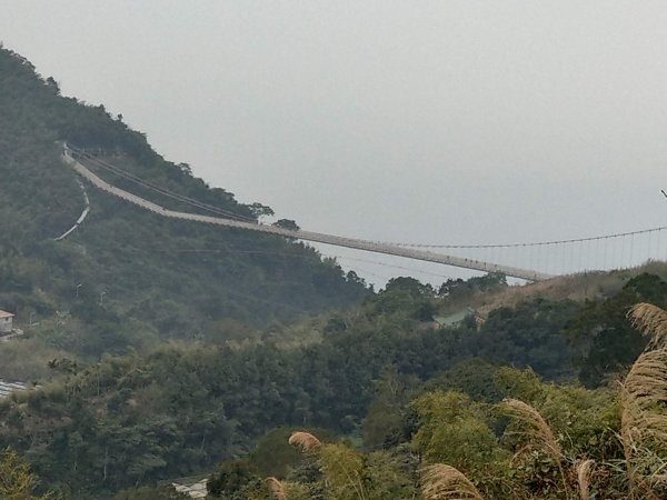 梨子腳山(小百岳#57) & 太平雲梯 (2021/1/29)1423203
