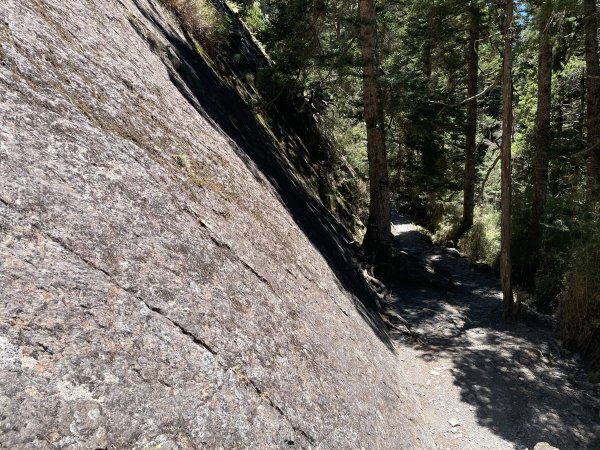 【健人HIKERS】兩天一夜玉山主峰、玉山西峰2769136