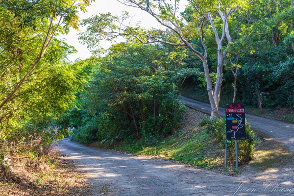 [台東]巴塱衛山2978293