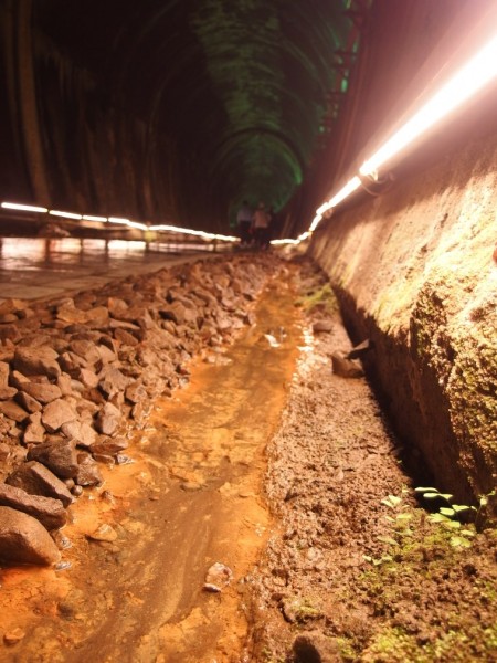 苗栗功維敘隧道‧貓貍山公園254457