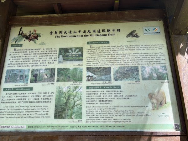 20251004嘉義奮起湖大凍山步道(頂湖)2914916