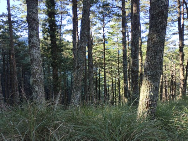 北一段(02/14)多加屯前峰2025_0906~132885113