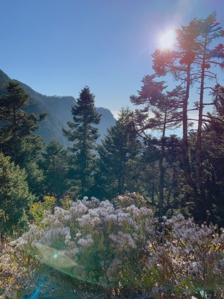 玉山主峰、玉山北峰湛藍大景739323