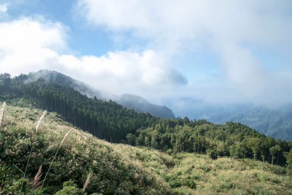 2017-11-9油羅山205453