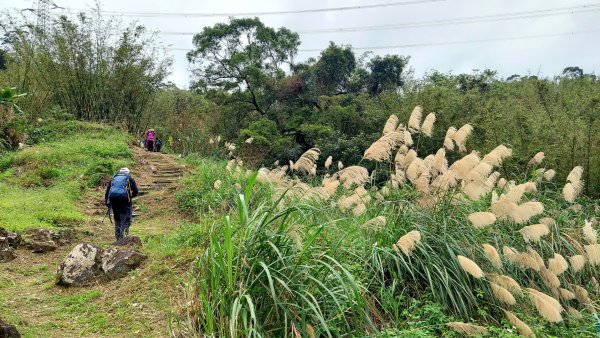 2025元旦山行 新店直潭山、二龍山O型2784956