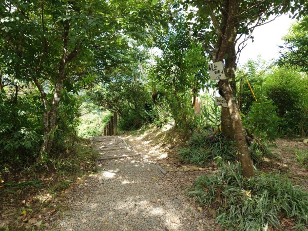 微笑山線之烘爐地任務2836459