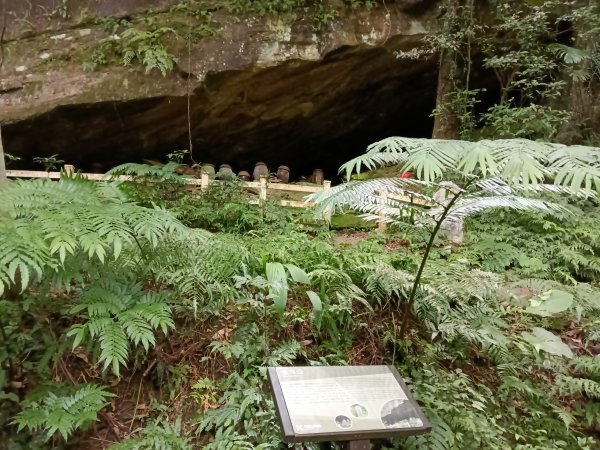 基隆市暖東峽谷大環步道+大菁農場+暖東峽谷小環步道(大O+小O)2832658