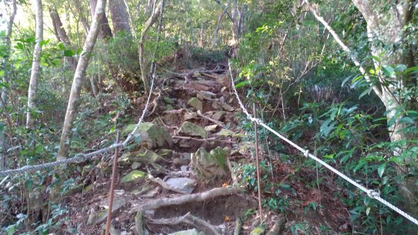 唐麻丹山+蝴蝶谷瀑布O型縱走374536