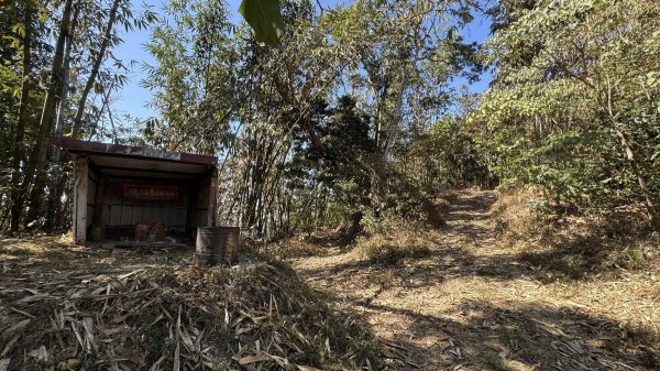 20260212 小百岳白雲山及西阿里關山3002920