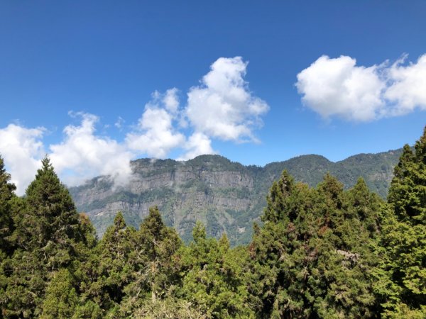 阿里山水山巨木、祝山觀日步道、對高岳步　727024