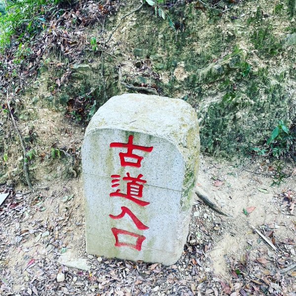 苗栗獅潭-鳴鳳古道封面