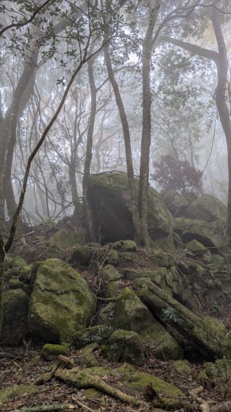 橫龍山、橫龍古道2682956