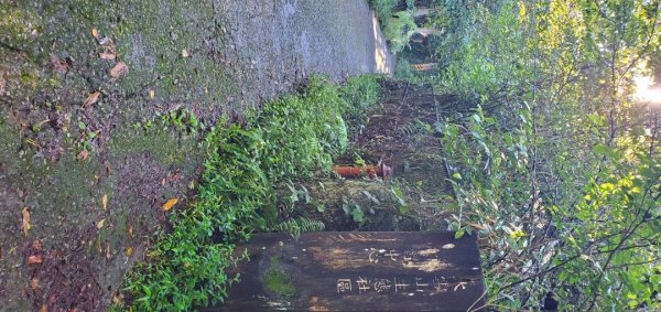 橫沙迪O型縱走_大雪山社區登山口2826534