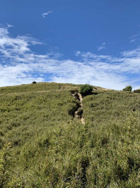 合歡山西峰463063