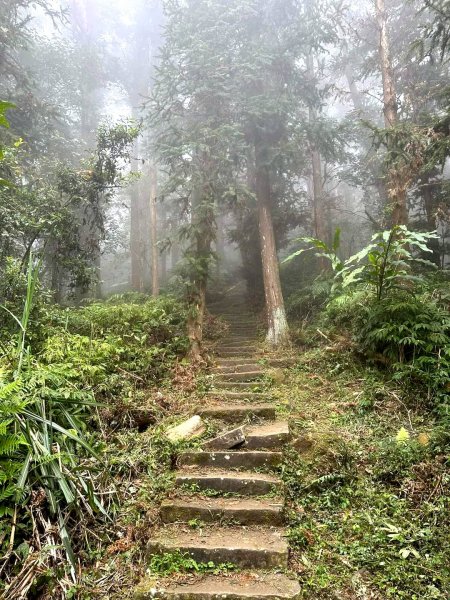 小百岳集起來-仙山2183040