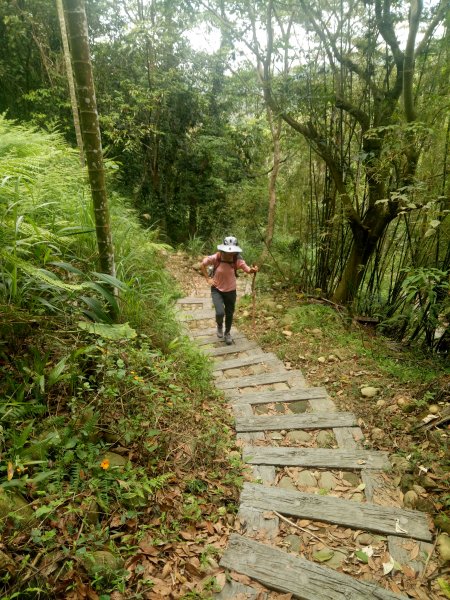 松柏坑山(坑內坑步道上)1905363