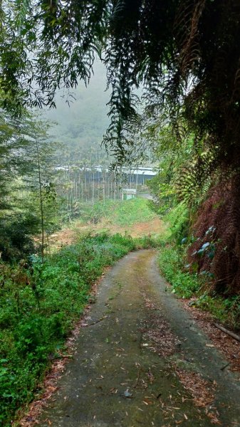 大湖尖山-原路來回1267743