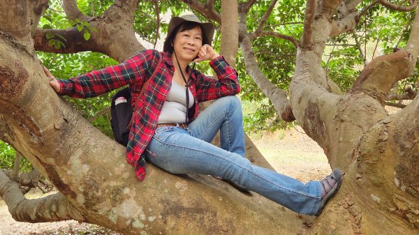 112/1/8苗栗縣頭屋鄉曲洞宮-墨硯山北峰-墨硯山-曲洞宮O型1992954