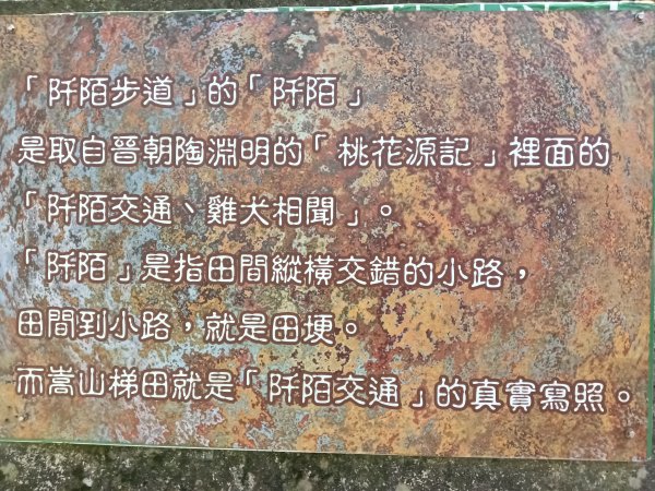 石門區嵩山百年水梯田鳶尾花祭+阡陌步道2763515