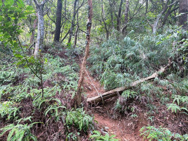 三段崎古道2835526