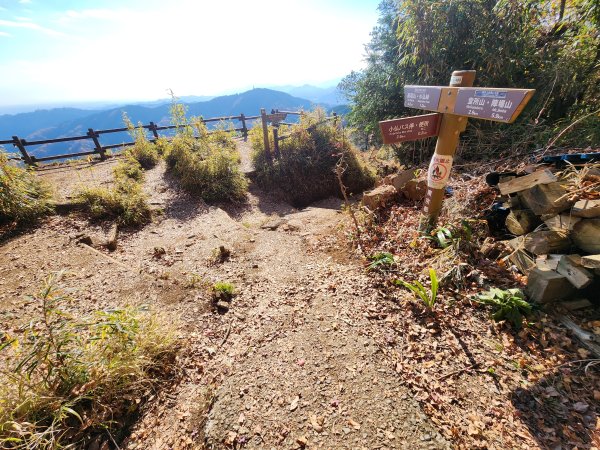 20251127陣馬山至高尾山2959090