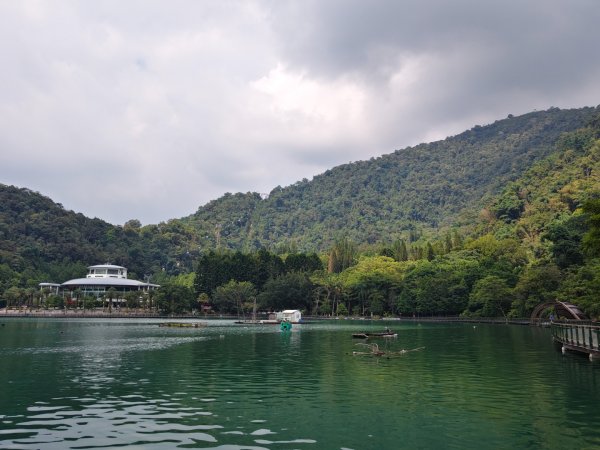 南投日月潭．水蛙步道202607093123026