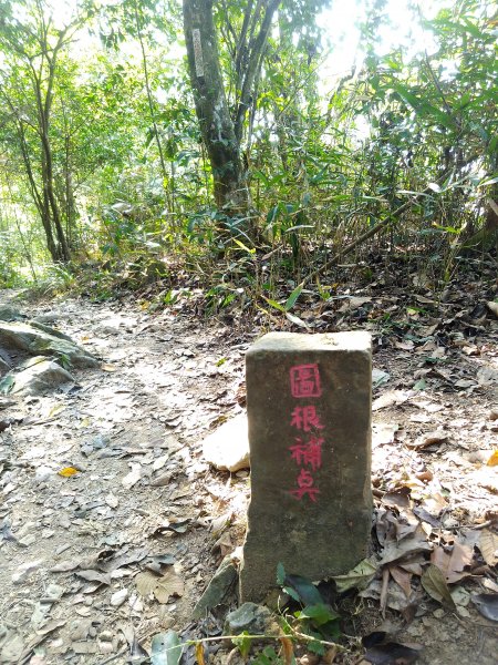 尾寮山登山步道502787