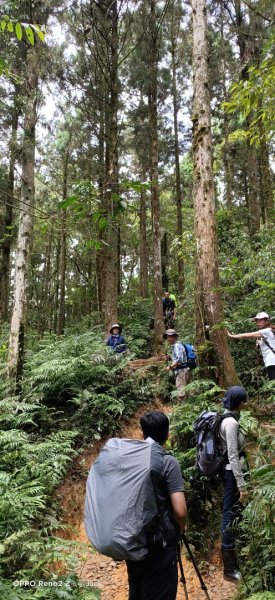 松羅湖野營-2022/6/25-261750284