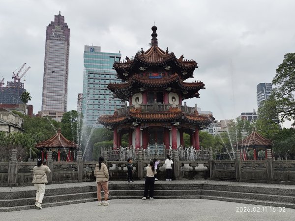 【新春賞櫻樂】平菁街42巷、宜蘭頭城火車站、二二八和平公園、東湖樂活公園3007709
