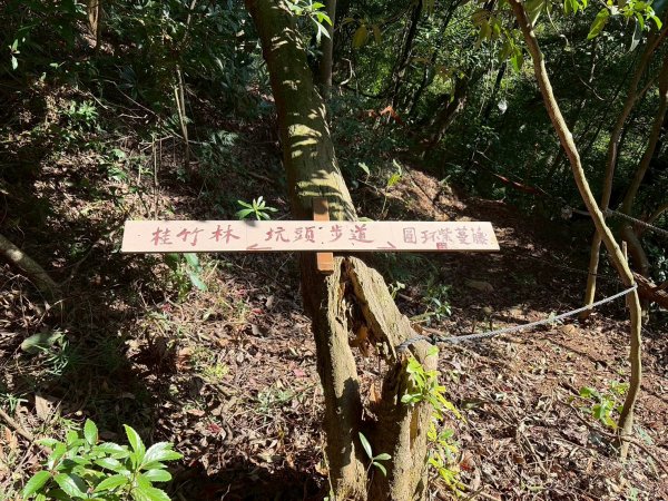 新北 林口 森林步道3015286