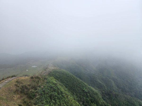 小百岳No.82⛰灣坑頭山3003066