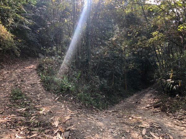 高雄市甲仙區小百岳69號白雲山（廓亭山）一等三角點及一等衛星控制點1984402