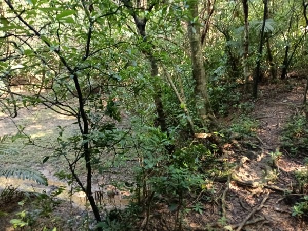 貢寮區新厝山+澳底尖(火炎山)+美艷山+金沙灣2989675