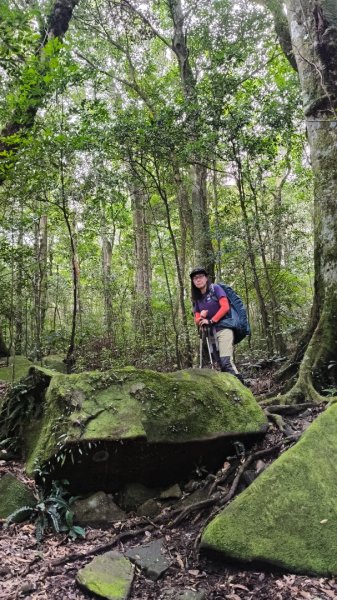 大混李棟重訓2883609