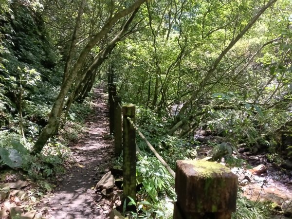 雙溪區淡蘭山徑-燦光寮古道+貂山古道O型2774866