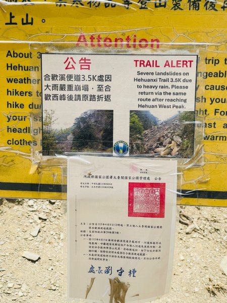 1150524合歡北峰杜鵑花3064370