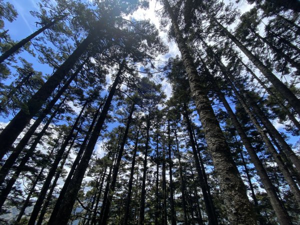 單攻屏風山111.2K最新登山口1411412