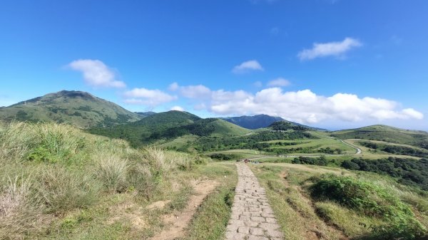 大好藍天遊冷擎1447441