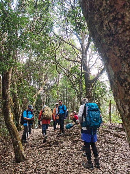 阿冷山 谷關第八雄2877395