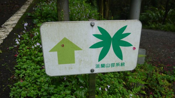 暖東舊道登山健行趣(淡蘭中路TK2-3)1616711