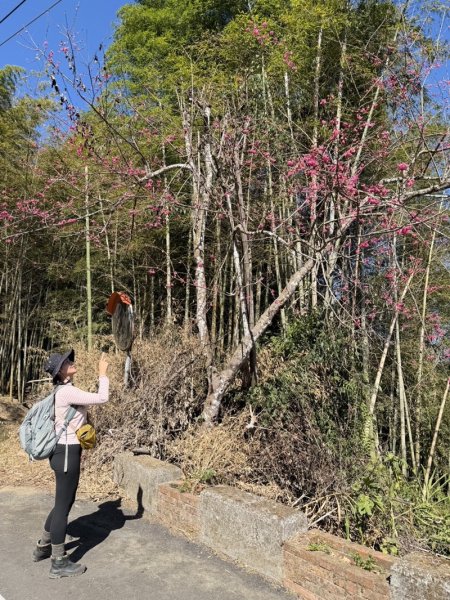 鹿谷小半天七連峰2992103